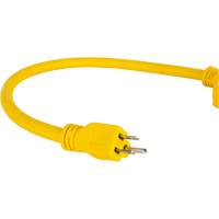 Extension Power Adapter, Outdoor, STOW, 12/3 AWG, 15 A, 3 Outlet(s), 2' Southpoint Industrial Supply