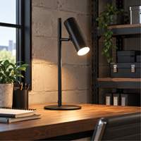 Lampe de table en m&eacute;tal avec diffuseur acrylique FR, 6 W, DEL, Col 19-3/4", Noir Southpoint Industrial Supply