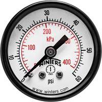 Economy Pressure Gauge, 1-1/2" , 0 - 60 psi, Back Mount, Analogue YB862 | Southpoint Industrial Supply