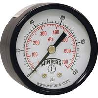 Economy Pressure Gauge, 2" , 0 - 160 psi, Back Mount, Analogue YB870 | Southpoint Industrial Supply