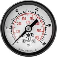 Economy Pressure Gauge, 1-1/2" , 0 - 100 psi, Back Mount, Analogue YB872 | Southpoint Industrial Supply
