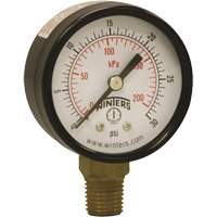 Economy Pressure Gauge, 2" , 0 - 30 psi, Bottom Mount, Analogue YB874 | Southpoint Industrial Supply